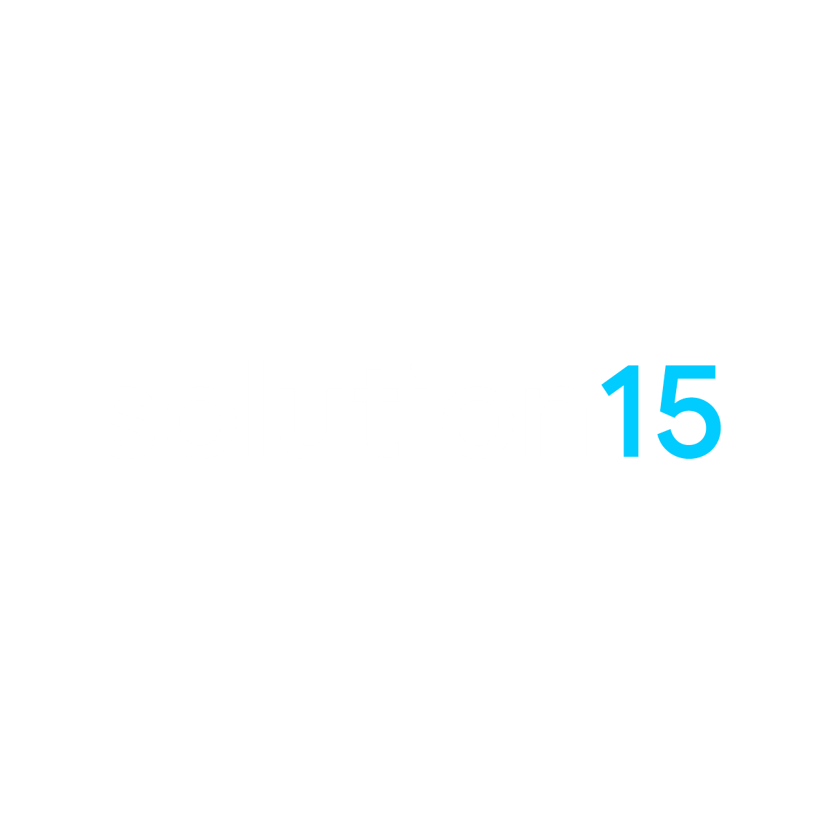 Solution 15 L.L.C